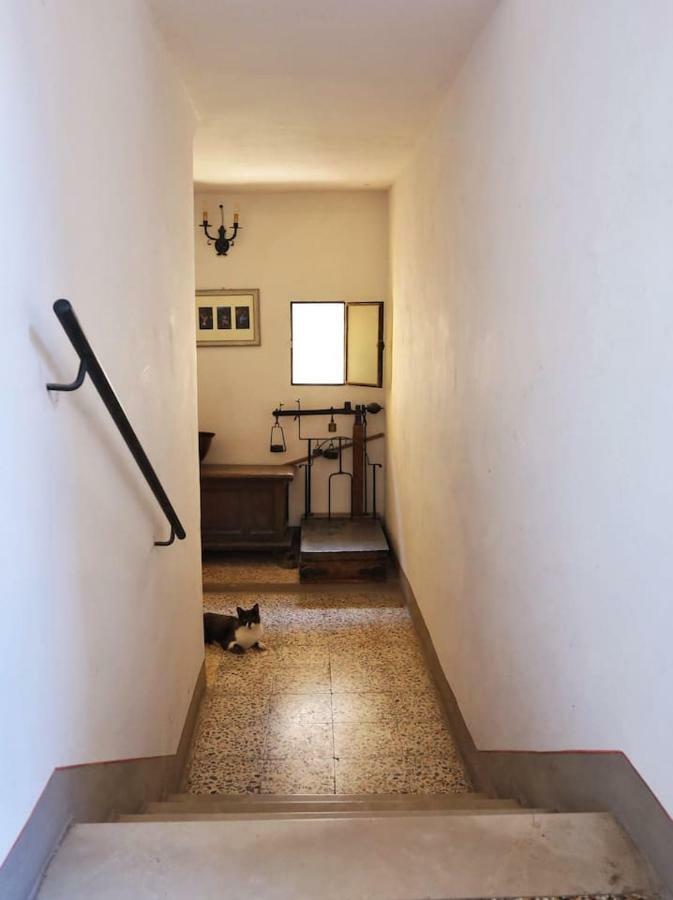 Appartamento Benozzo San Gimignano Buitenkant foto